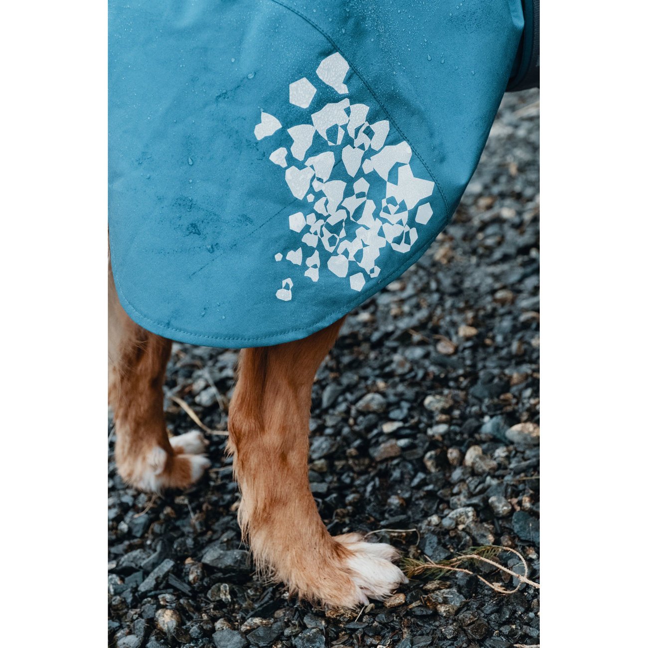 Monsoon Regenmantel Bild 8