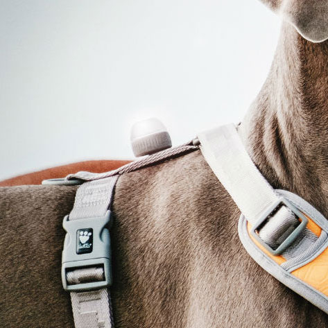 Hurtta Polar LED Light Adventure Licht Bild 2