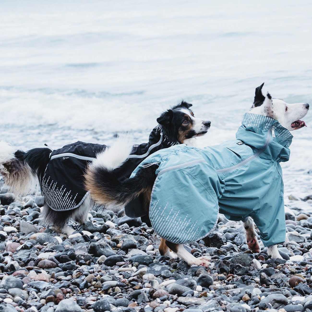 Hurtta Rain Blocker Regenmantel für Hunde Bild 2