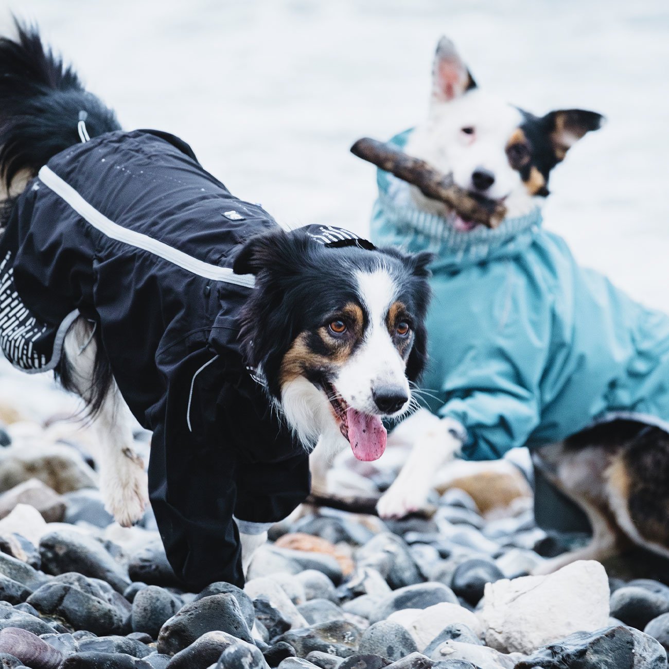 Hurtta Rain Blocker Regenmantel für Hunde Bild 6