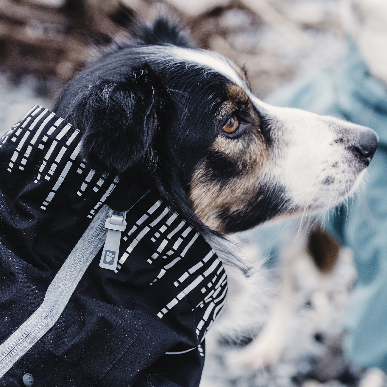Hurtta Rain Blocker Regenmantel für Hunde Bild 9