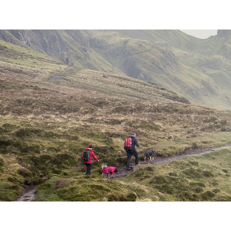 HURTTA Torrent Regenmantel für Hunde Bild 6