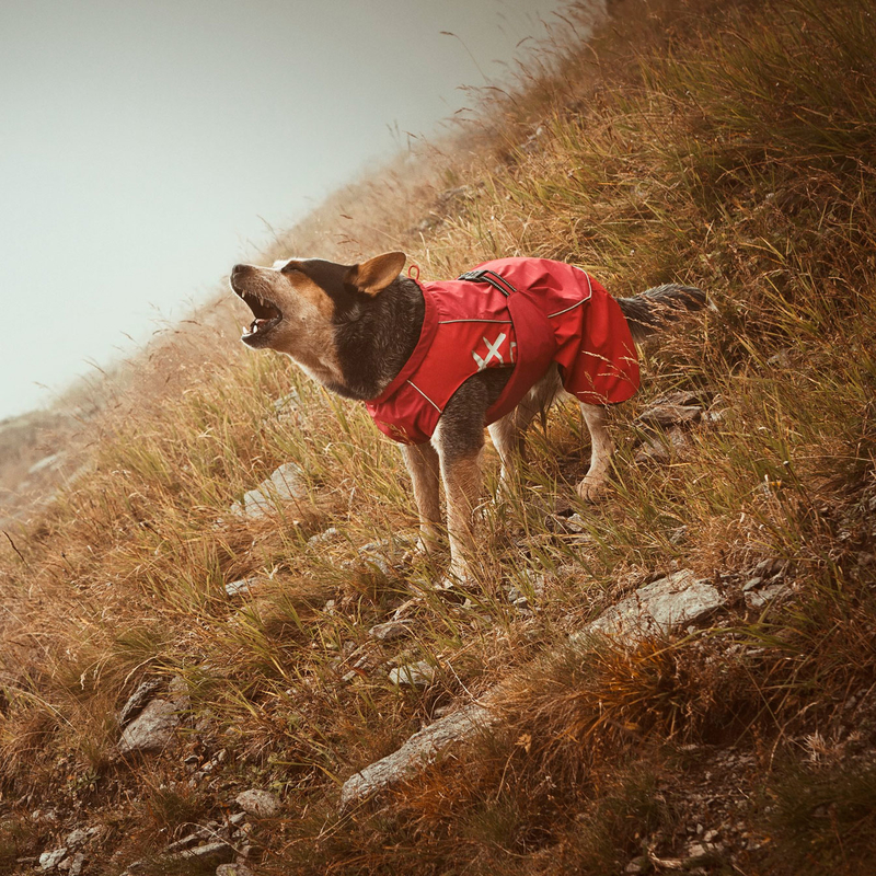 HURTTA Torrent Regenmantel für Hunde Bild 7