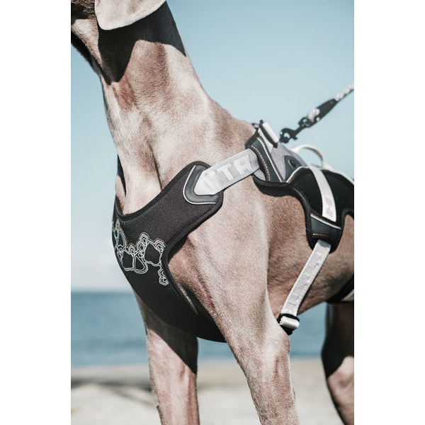 Hurtta Trail Geschirr Bild 3