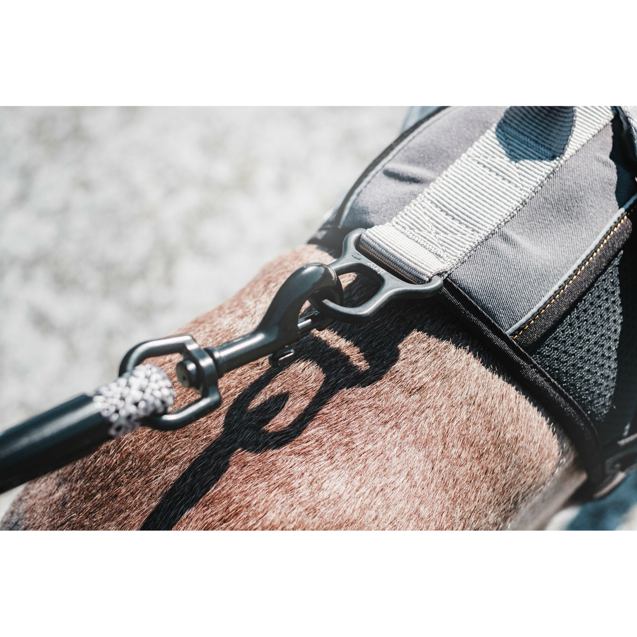 Hurtta Trail Geschirr Bild 8