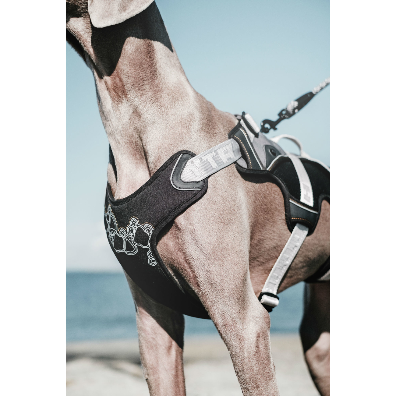 Hurtta Trail Geschirr Bild 9