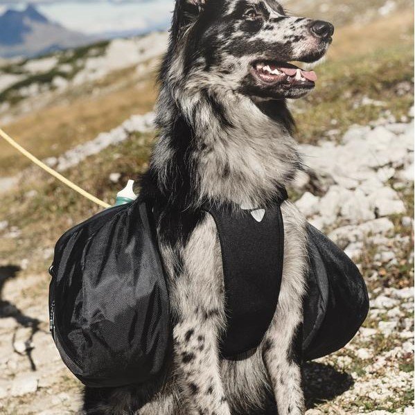 Trail-Geschirr mit Rucksack Bild 4