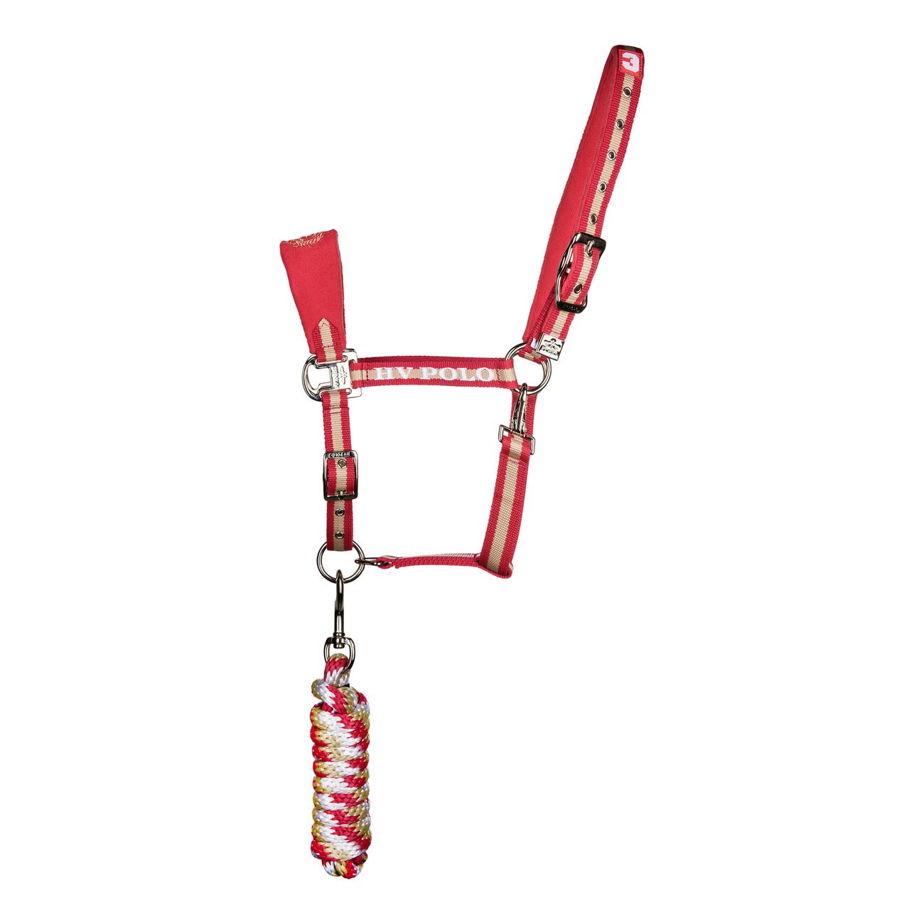 Halfter und Strick Favouritas Bild 18