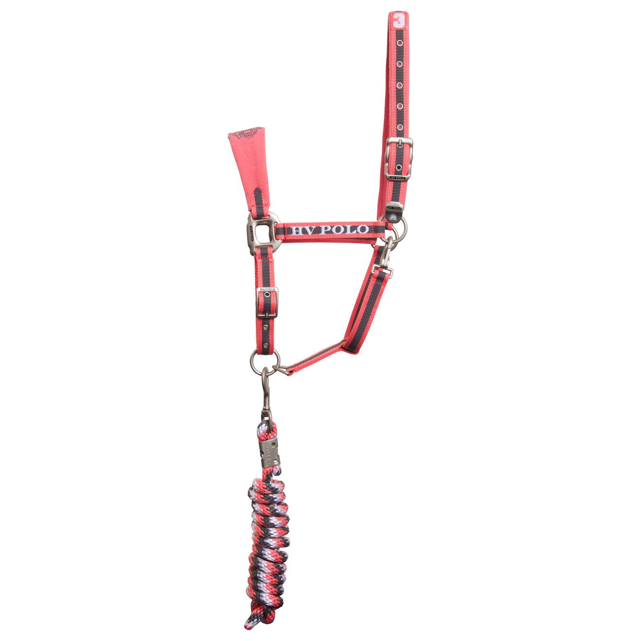 Halfter und Strick Favouritas Bild 22