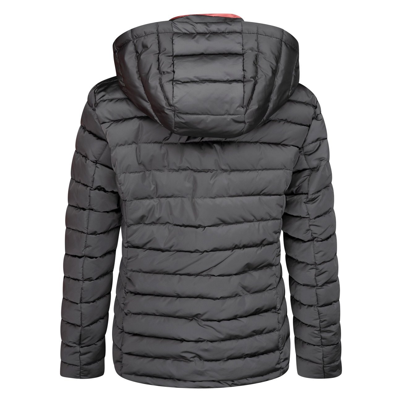 Reitjacke HVPFeline Bild 10