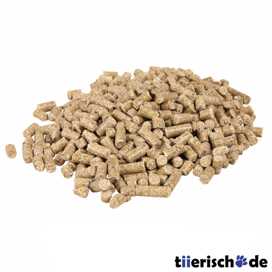 Trockenfutter für Agamen Bild 1
