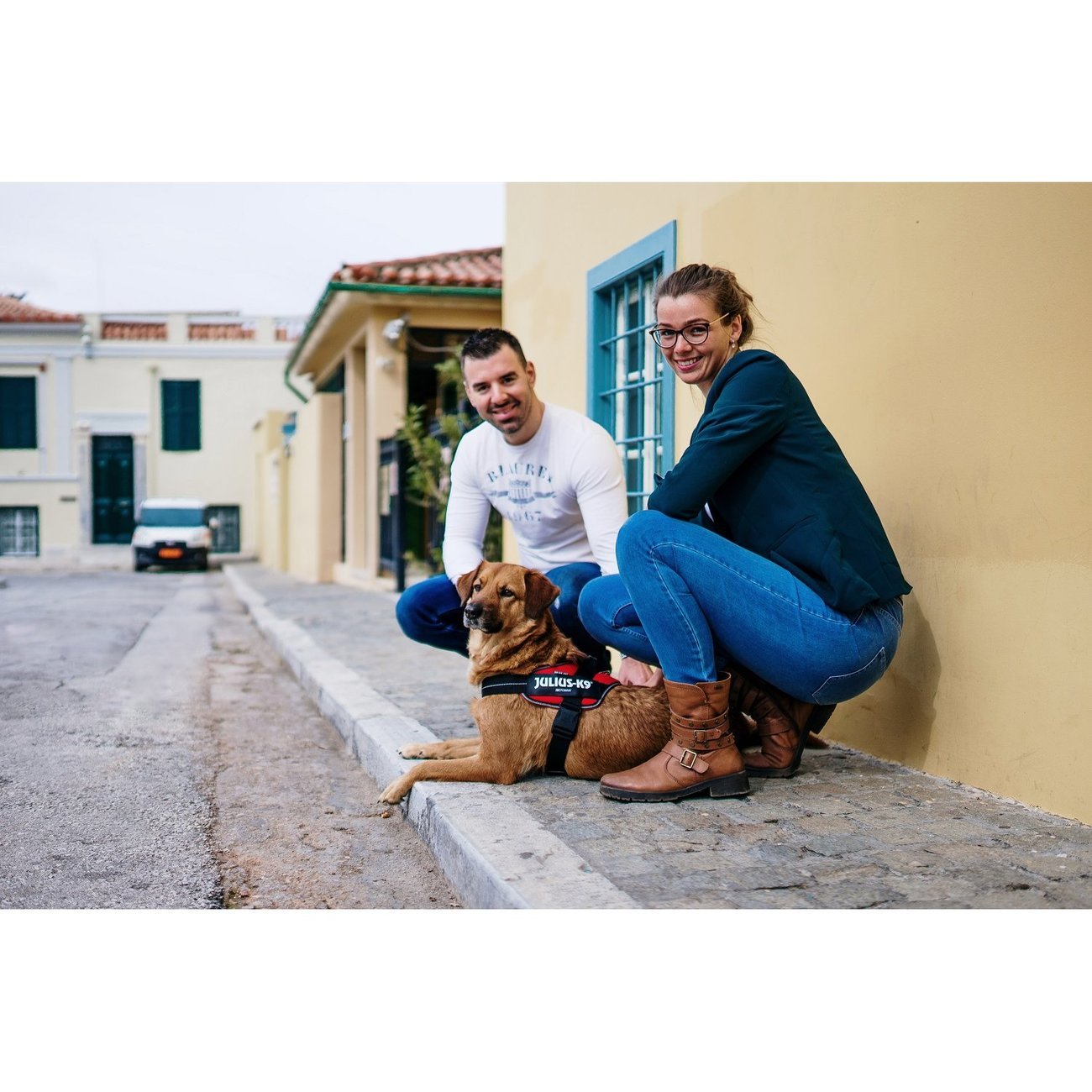 IDC® POWAIR Sommergeschirr Bild 4