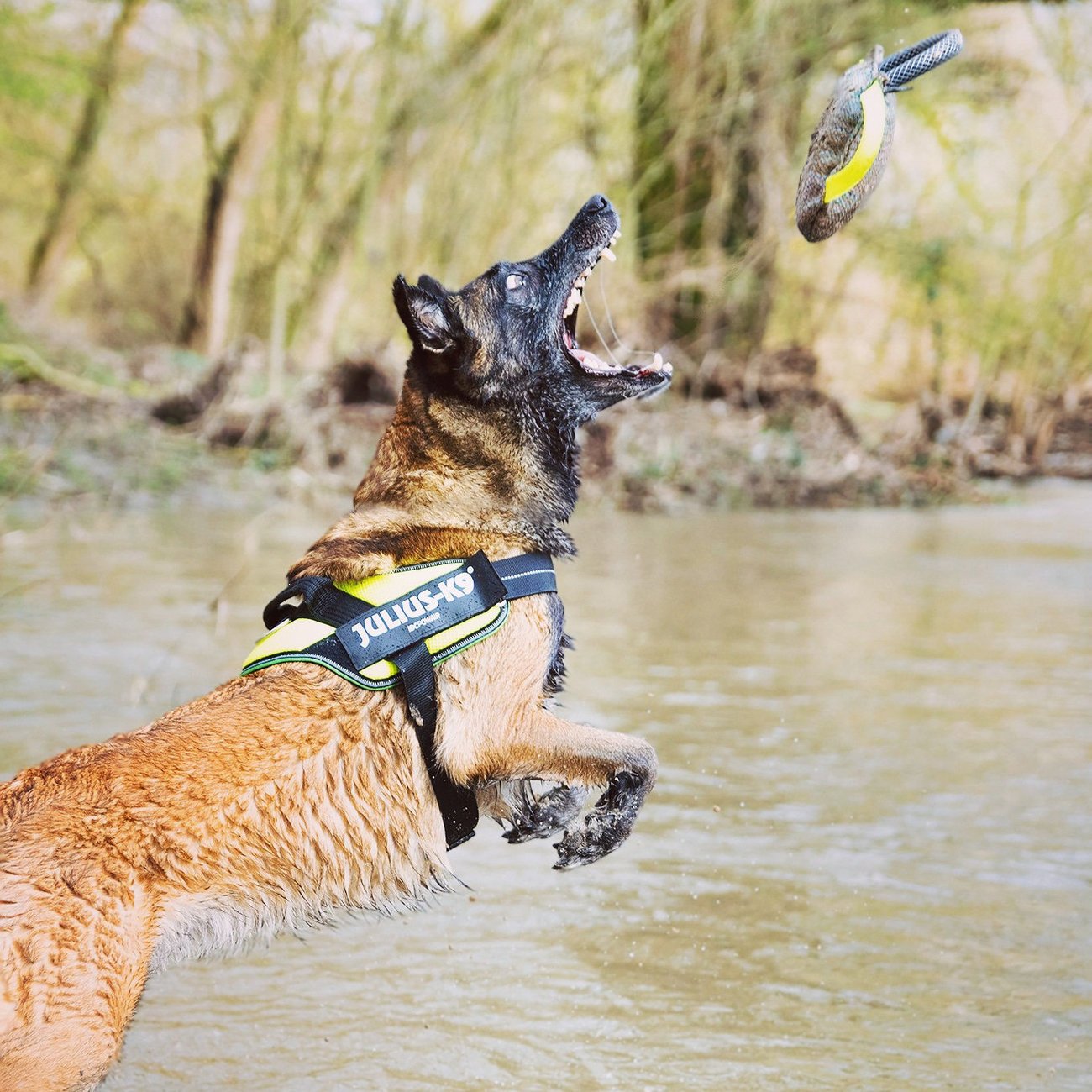 IDC® POWAIR Sommergeschirr Bild 3