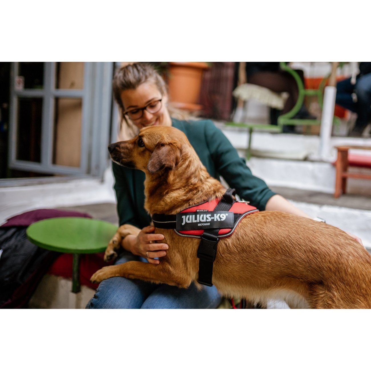 IDC® POWAIR Sommergeschirr Bild 27