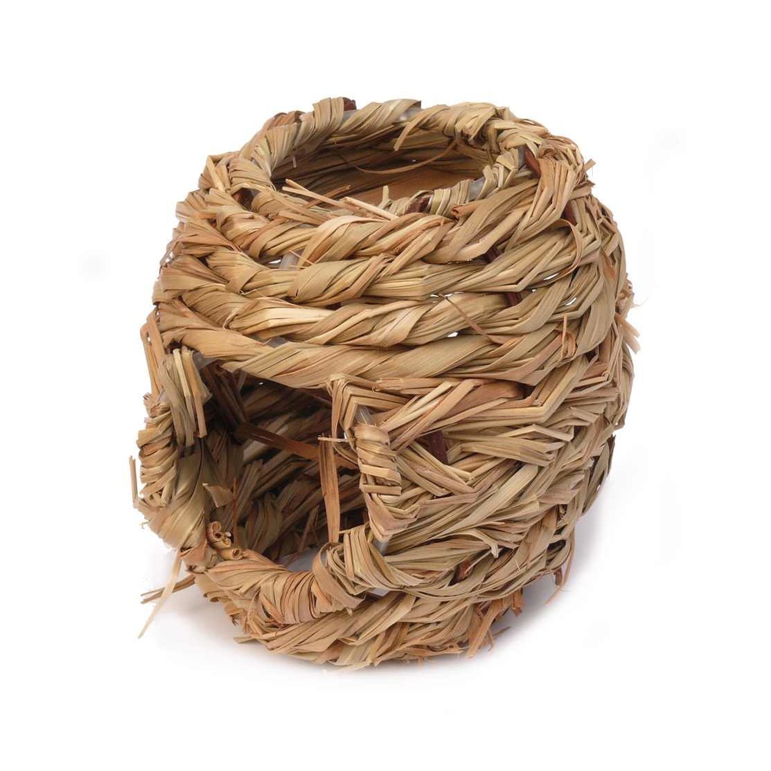 Imperata Grasnest Bild 1