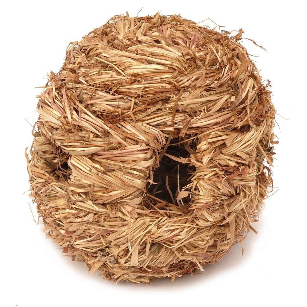 Imperata Grasnest Bild 2