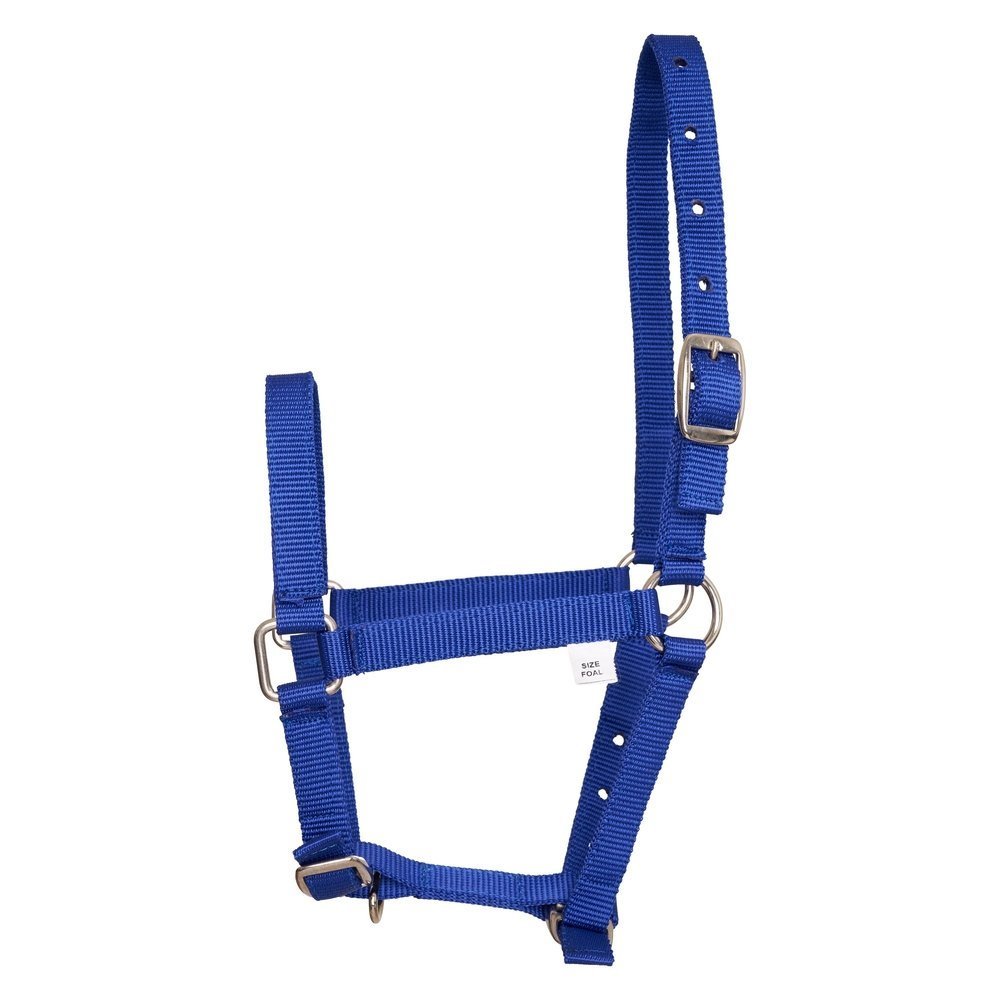 Fohlen Halfter Nylon Bild 1