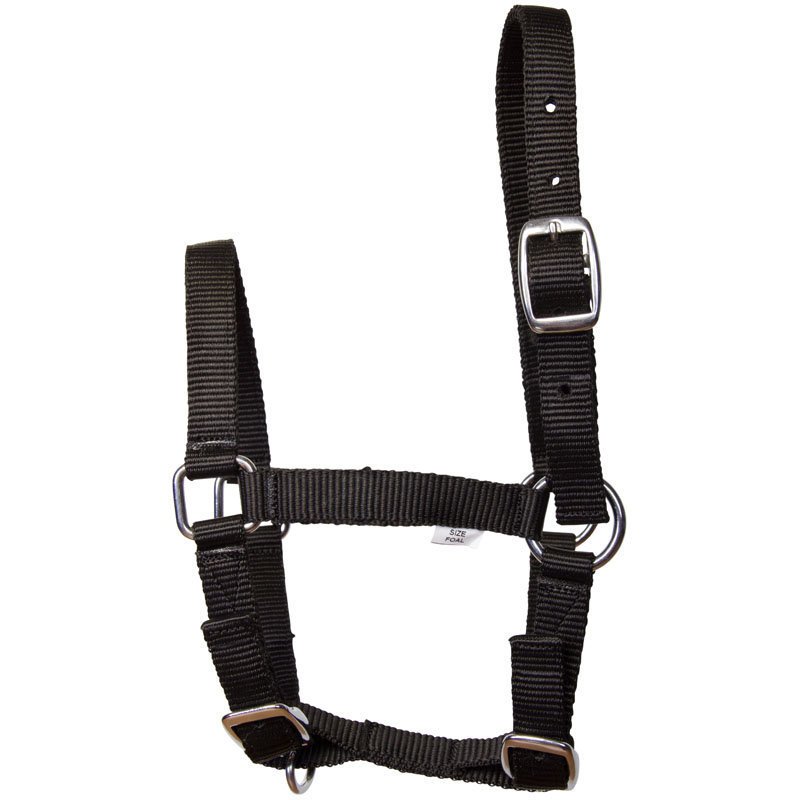 Fohlen Halfter Nylon Bild 2