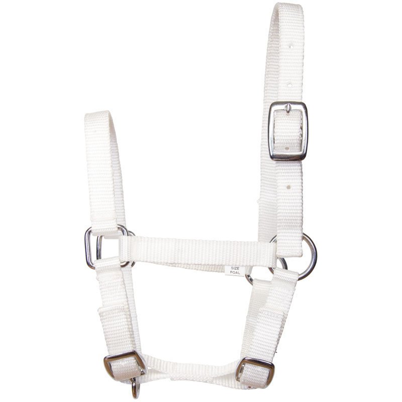 Fohlen Halfter Nylon Bild 3