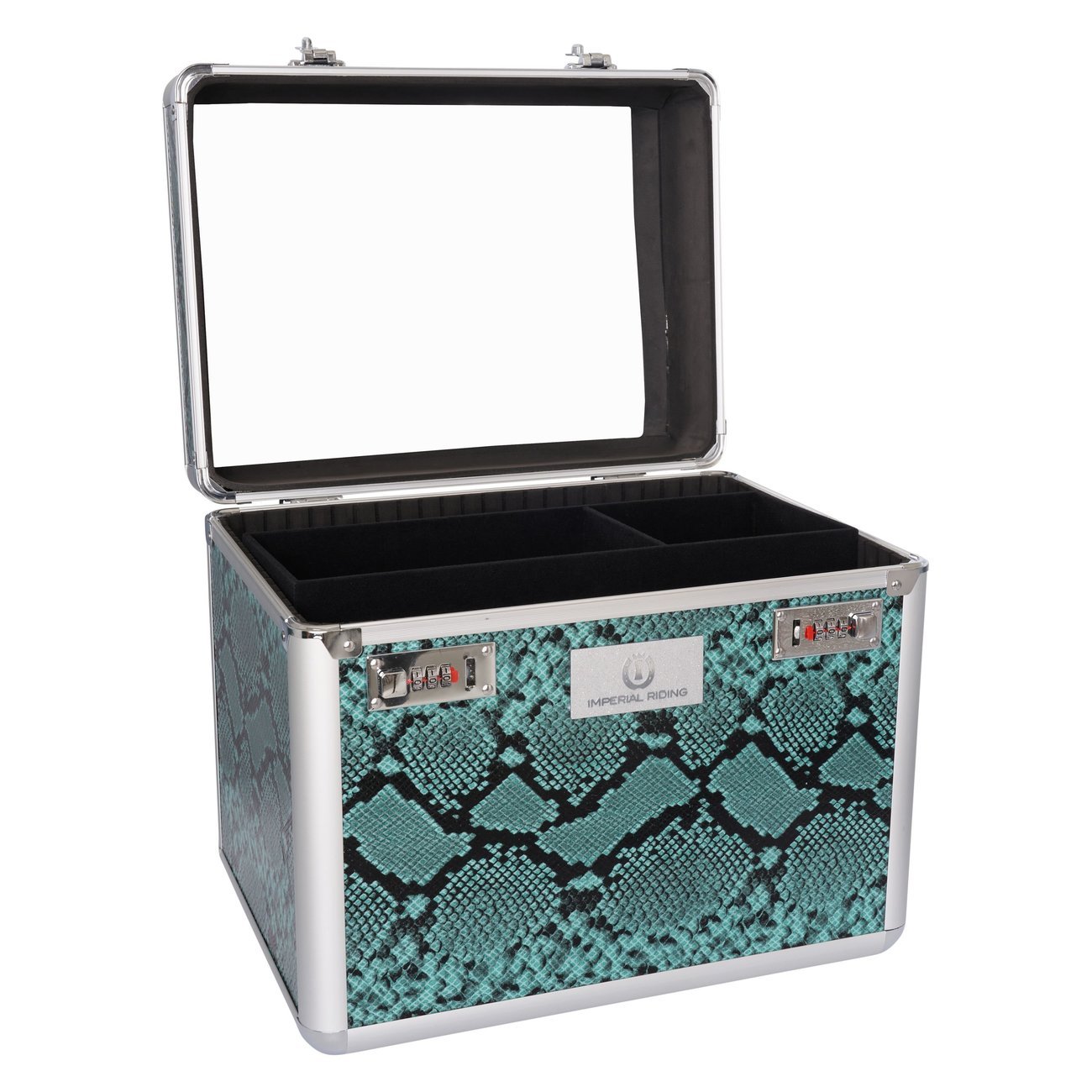 Putzbox IRHShiny Bild 4