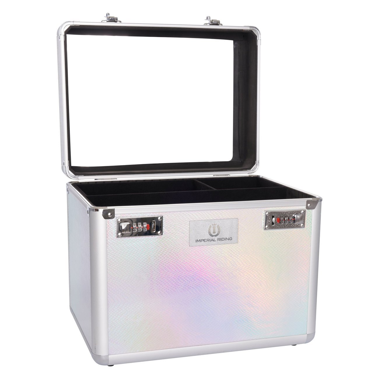 Putzbox IRHShiny Bild 8