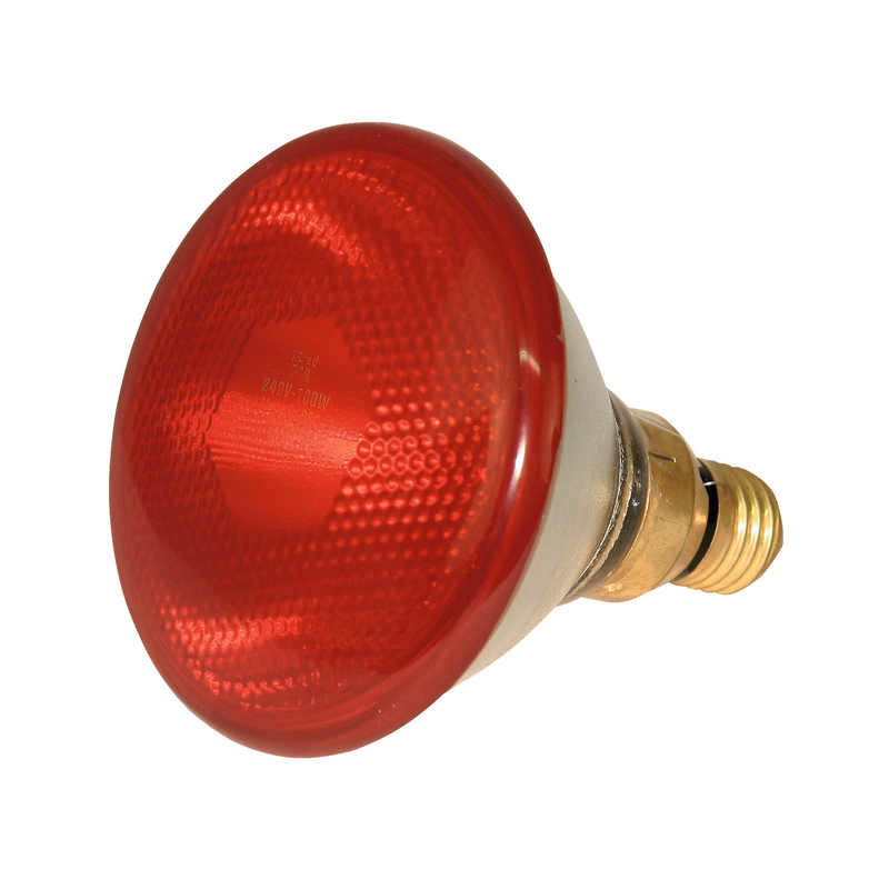Infrarot-Sparlampe Bild 1