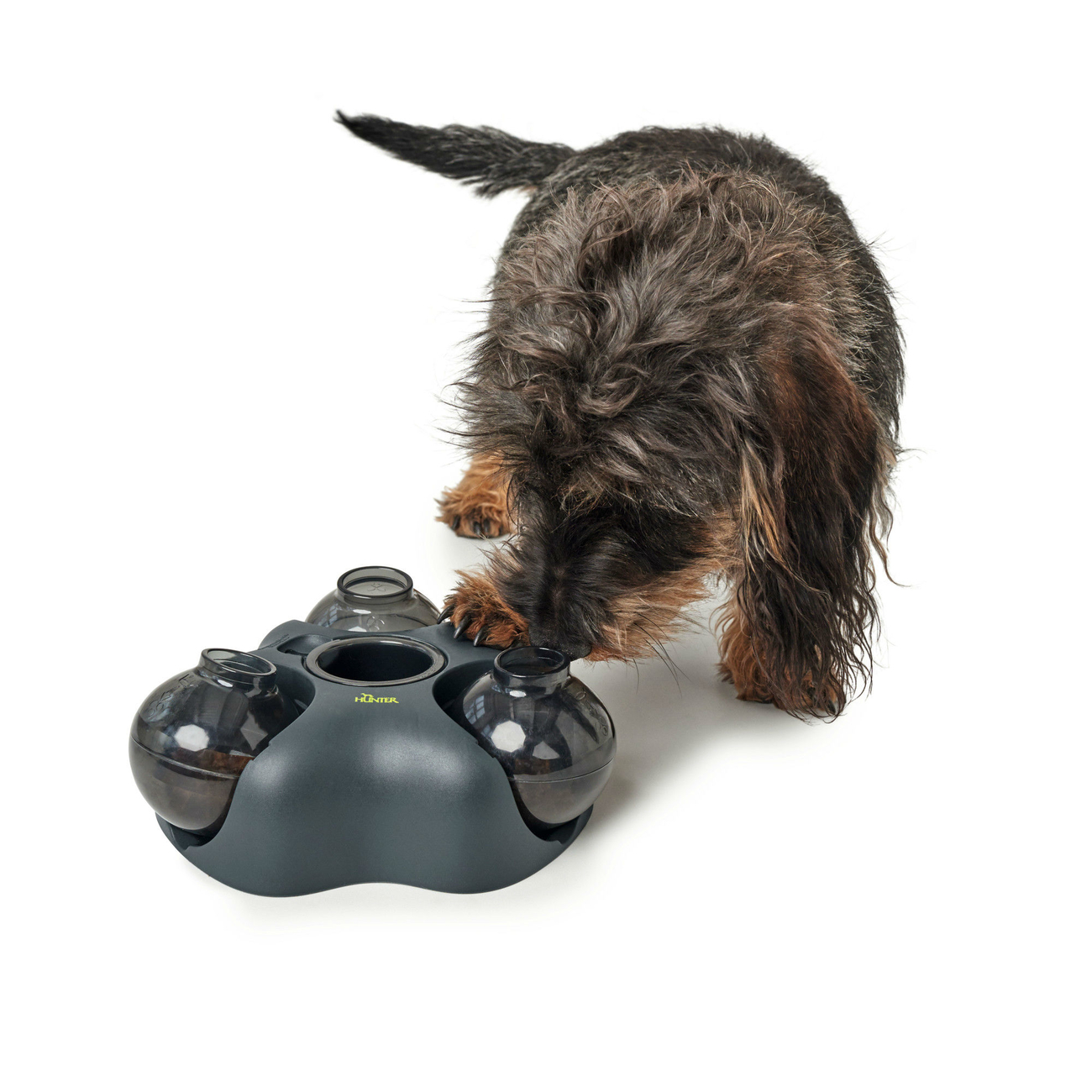Intelligenzspielzeug für Hunde und Katzen Kem Bild 10