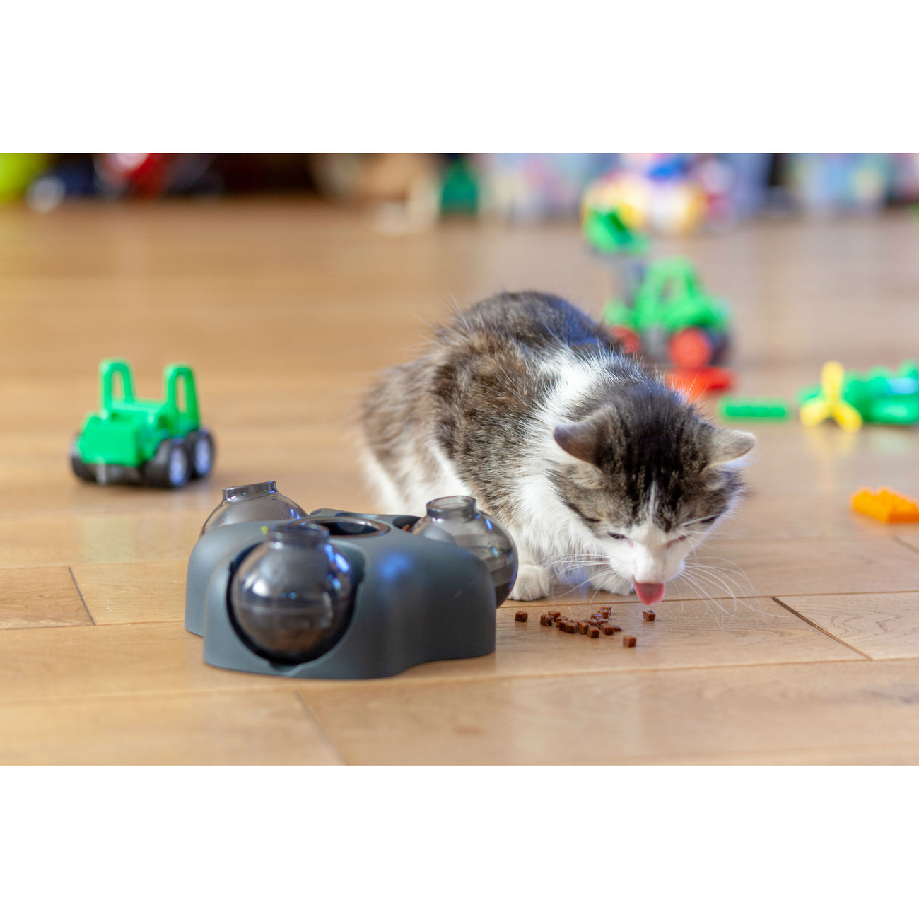 Intelligenzspielzeug für Hunde und Katzen Kem Bild 11