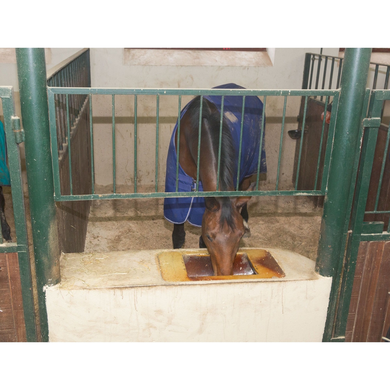 Kerbl Internet Überwachungskamera IPCam 2.0/HD Bild 5