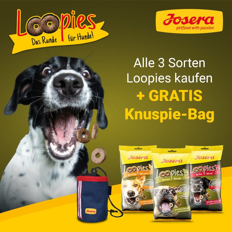 AKTION: 3x Loopies + Leckerlibeutel GRATIS Bild 2