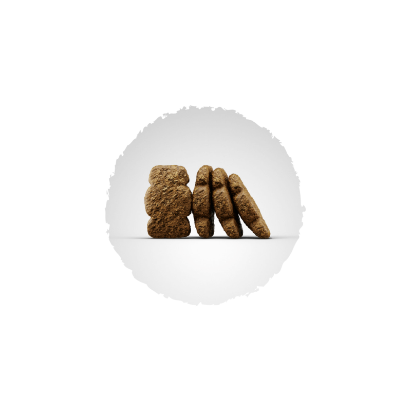 Josera Kids Welpenfutter Bild 3