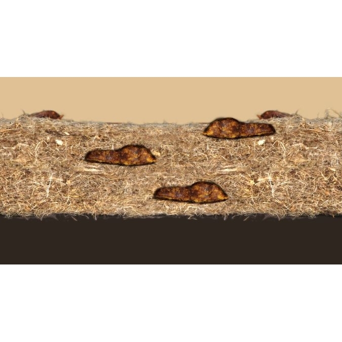 JR Cat Aktiv-Teppich für Katzen Bild 4