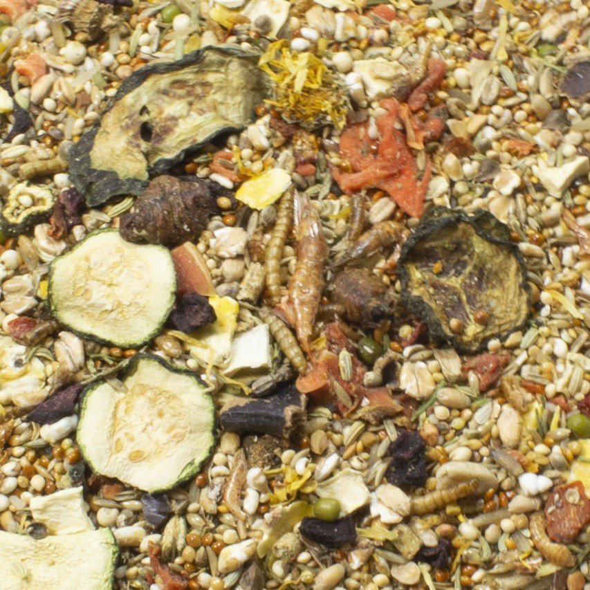 Food Maus Adult Bild 2