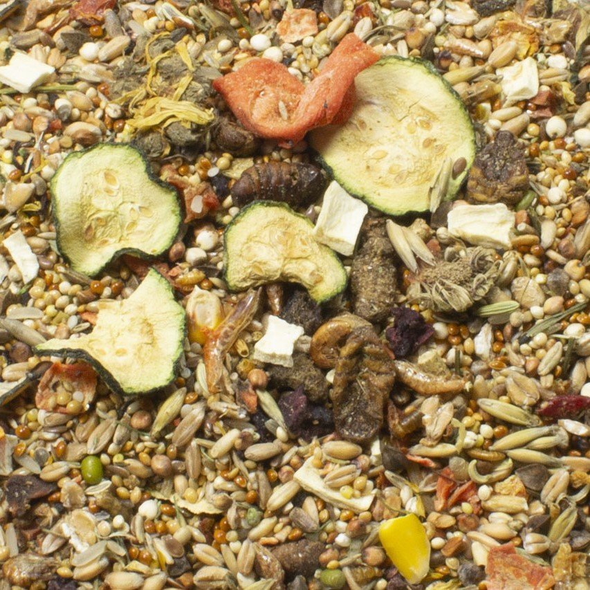 Food Rennmaus Adult Bild 2