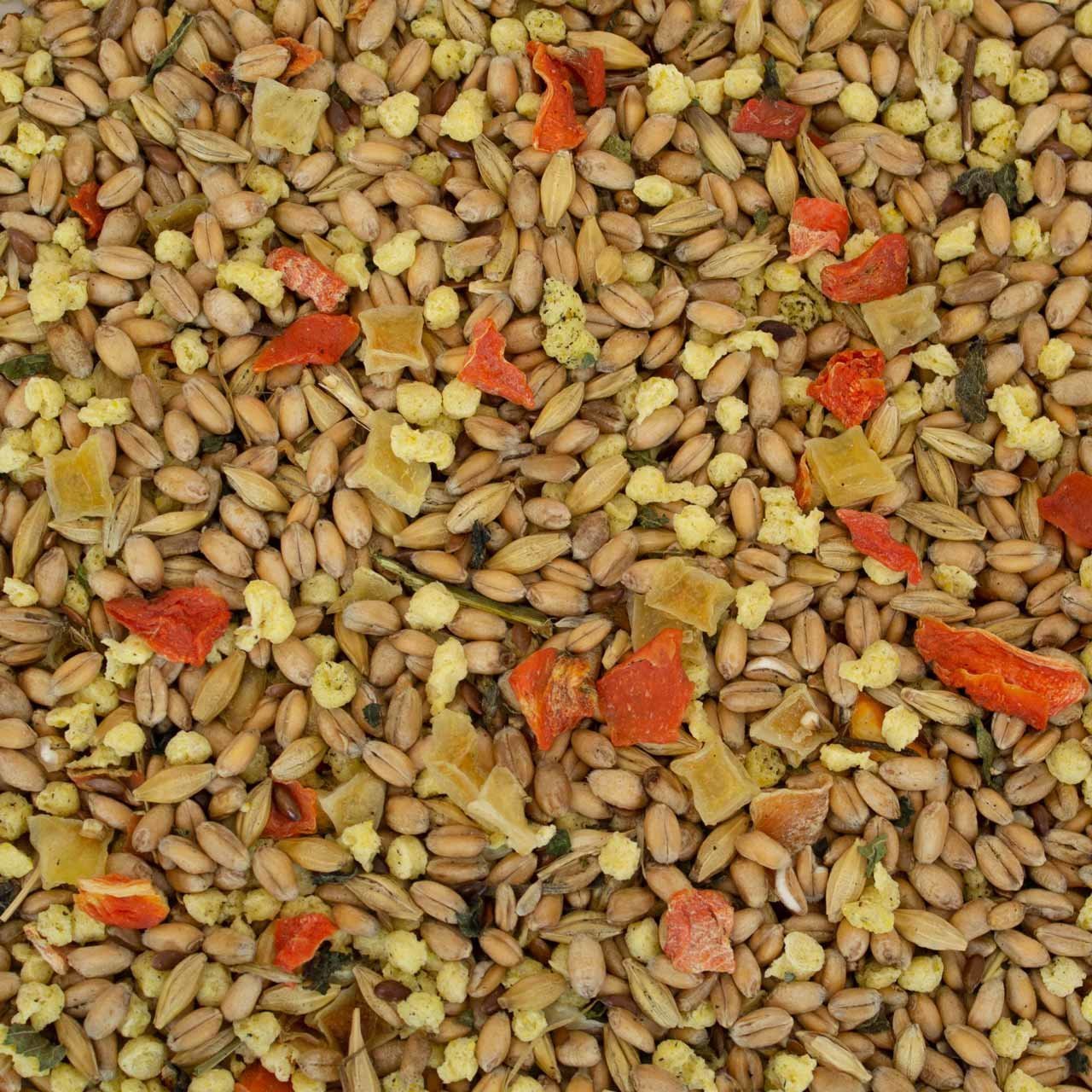 Hühner Schmaus Bild 2