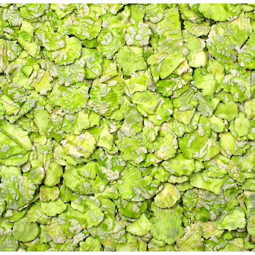 JR Erbsenflocken Bild 2