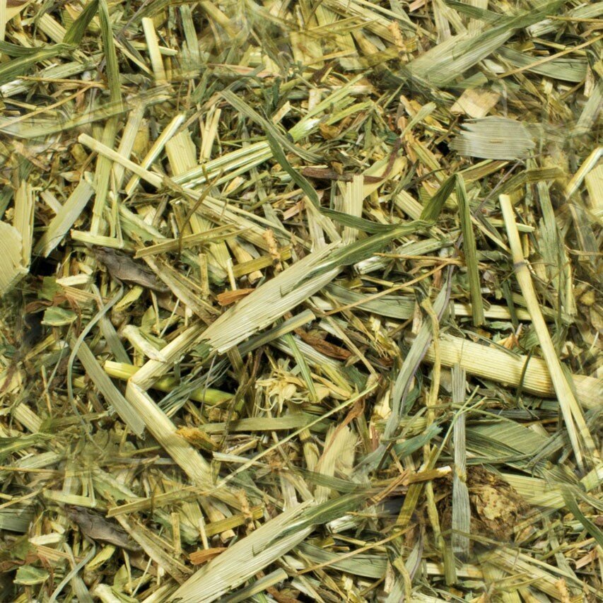 Kräutergarten Raufutter Bild 2