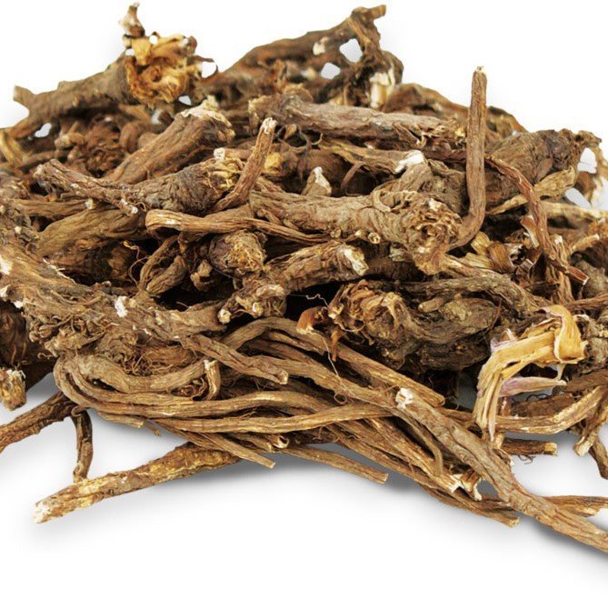 Löwenzahn Wurzeln Bild 2