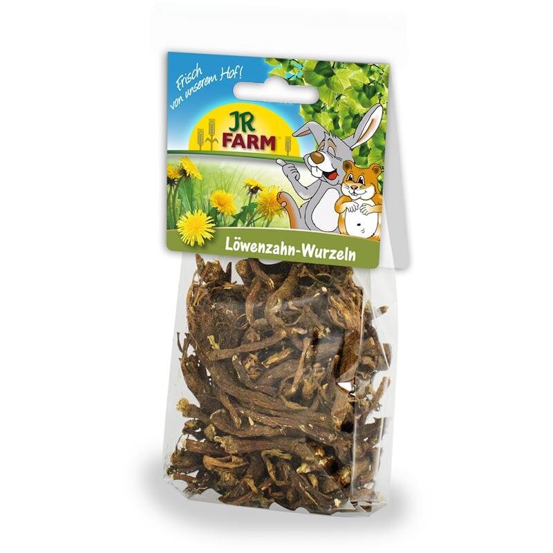 Löwenzahn Wurzeln Bild 1