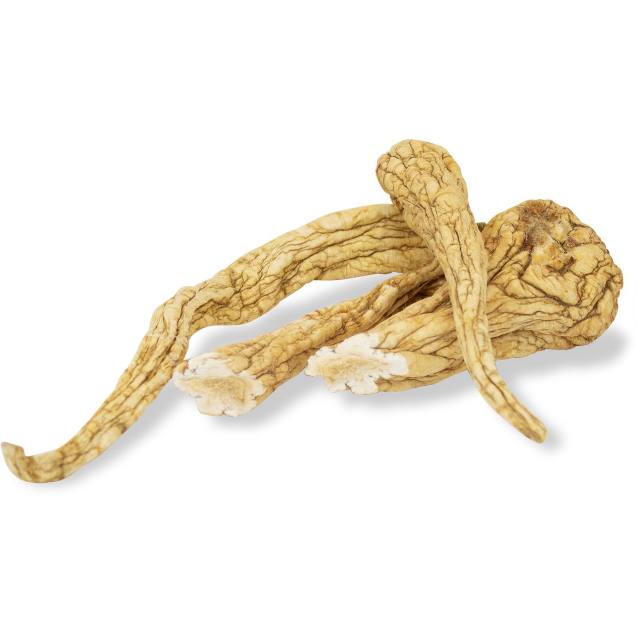 Pastinaken Wurzeln Bild 2