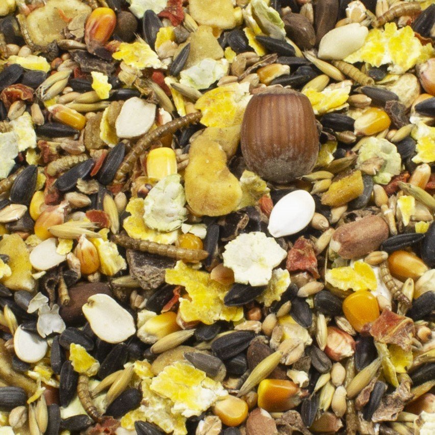 Streifenhörnchen Schmaus Bild 2