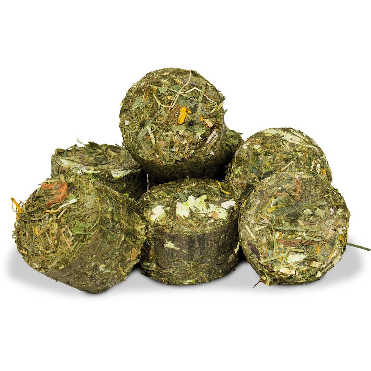 JR Grainless One Zwergkaninchen Bild 2