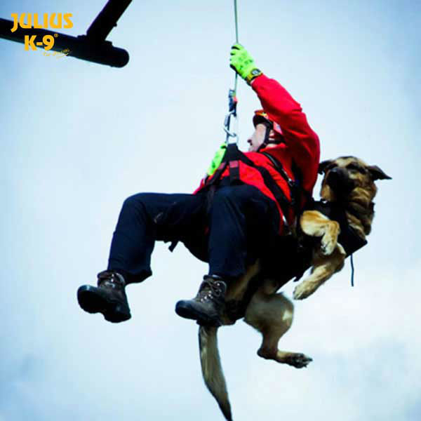 Julius K9 Abseil- und Tragegeschirr für Hunde Bild 11