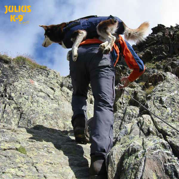 Julius K9 Abseil- und Tragegeschirr für Hunde Bild 12