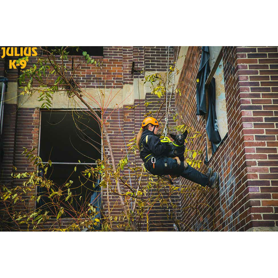 Julius K9 Abseil- und Tragegeschirr für Hunde Bild 15