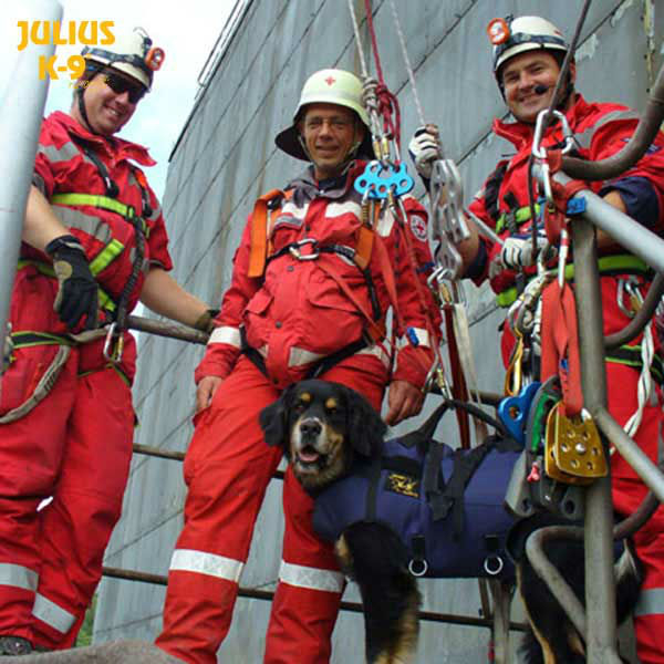 Julius K9 Abseil- und Tragegeschirr für Hunde Bild 16