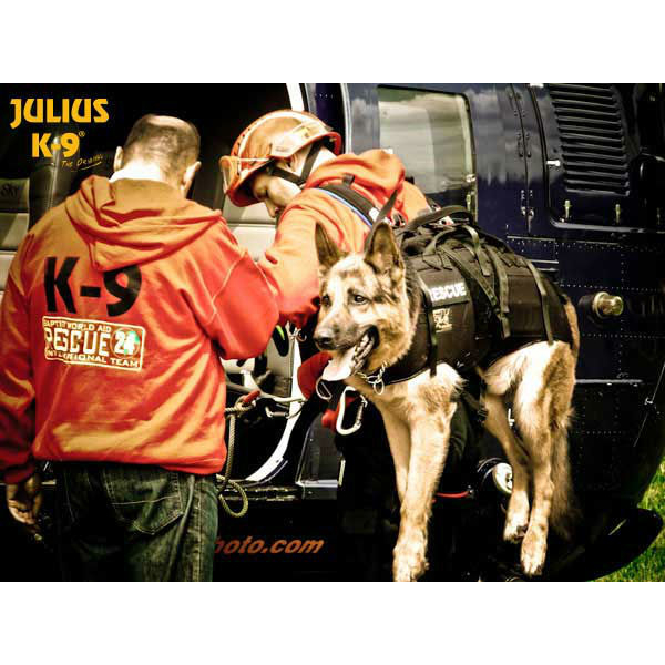 Julius K9 Abseil- und Tragegeschirr für Hunde Bild 17
