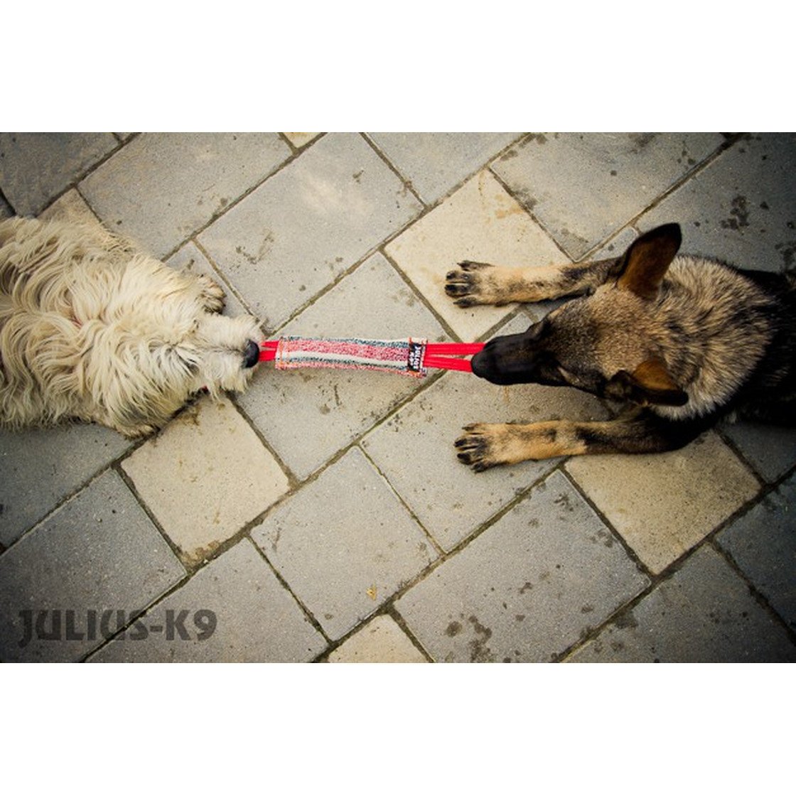 Julius K9 Beisswurst Baumwolle genäht Bild 6