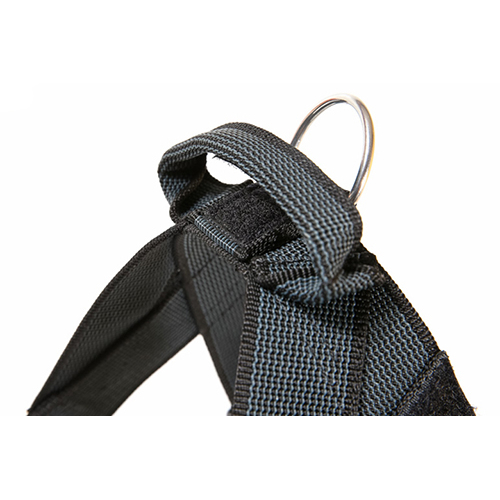 Julius K9 IDC Gurtbandgeschirr Color & Gray Bild 7