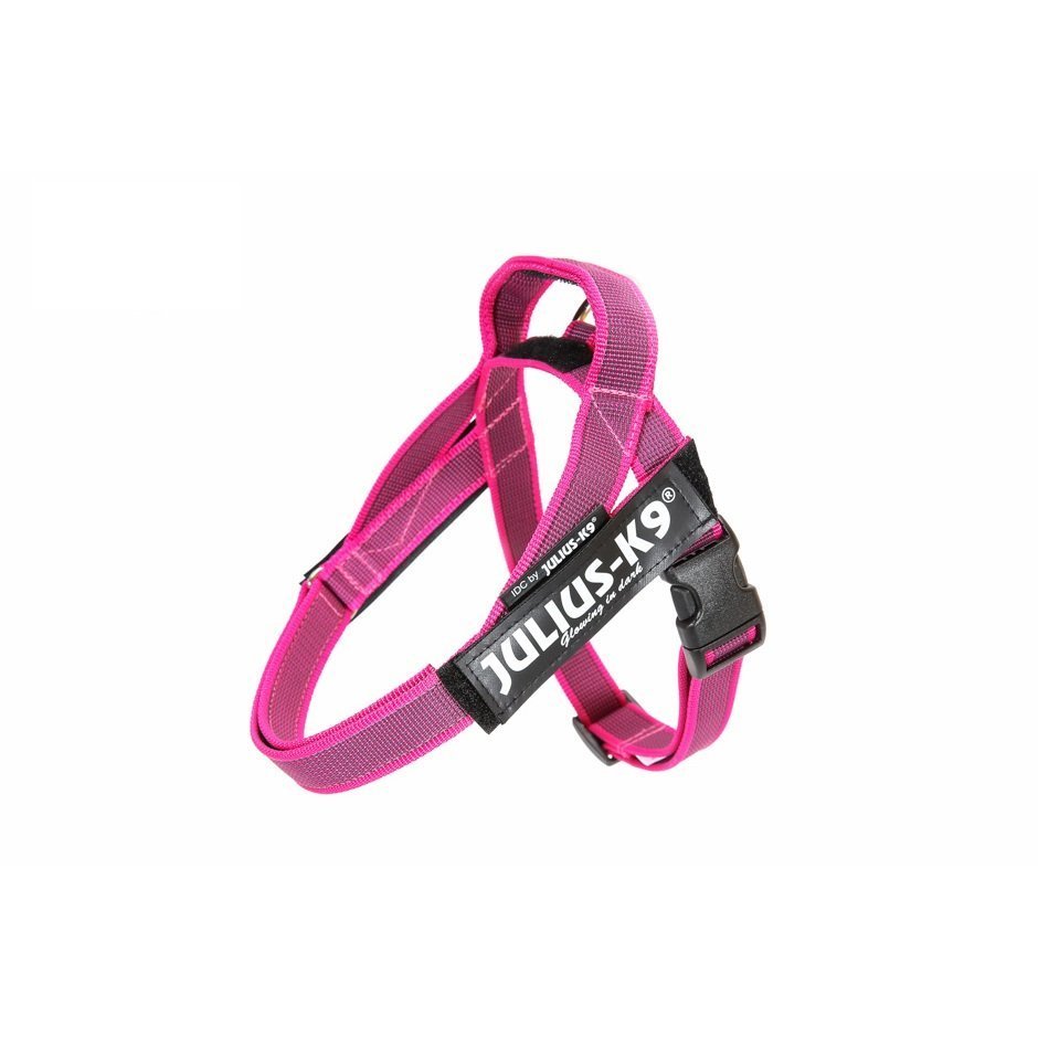Julius K9 IDC Gurtbandgeschirr Color & Gray Bild 9